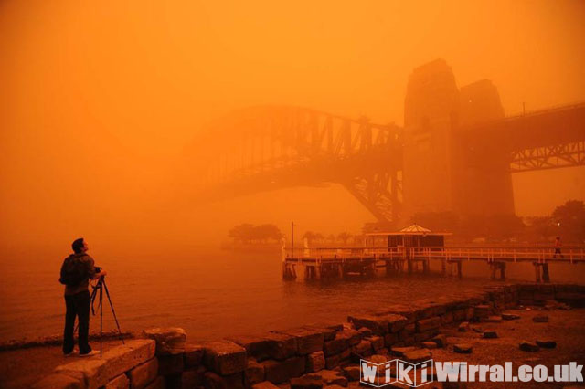 Attached picture sydney harbour this morning.jpg